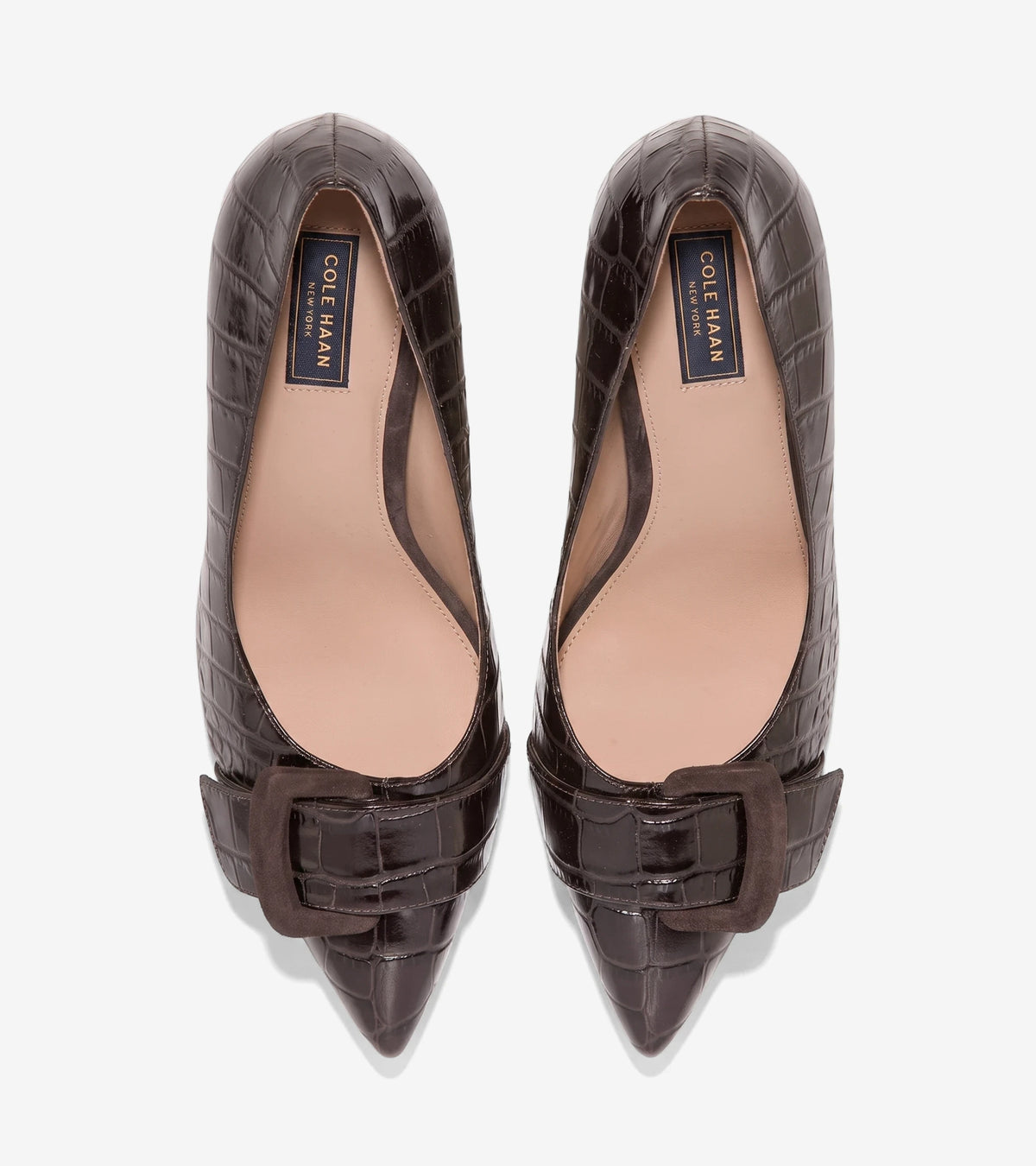 FIDELA BUCKLE PUMP: Dark chocolate crocodile print women's pumps with a pointed toe and a matching suede buckle detail.